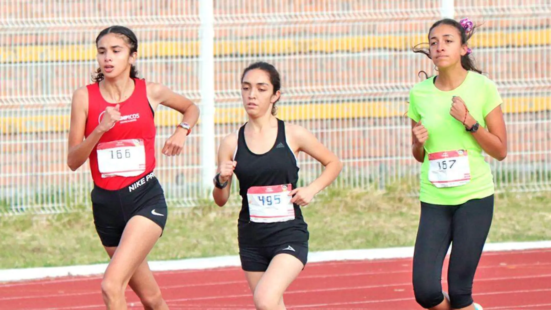 Serial de atletismo